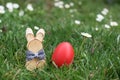 Easter Bunny and red hen Easter egg in a grass and deisies Royalty Free Stock Photo