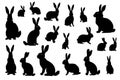 Easter bunny silhouettes isolated on white background. Rabbit and Hare Royalty Free Stock Photo