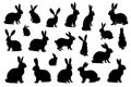 Easter bunny silhouettes isolated on white background. Rabbit and Hare Royalty Free Stock Photo