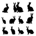 Easter bunny silhouettes isolated on white background. Set different Royalty Free Stock Photo
