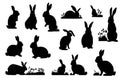 Easter bunny silhouettes isolated on white background. Set different Royalty Free Stock Photo