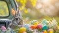 Easter bunny is sitting near the car with colored eggs and spring flowers Royalty Free Stock Photo