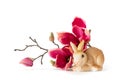 easter bunny sitting by some red magnolia flowers Royalty Free Stock Photo