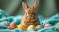 Easter bunny sitting surrounded painted Easter eggs indoor . space for text Royalty Free Stock Photo