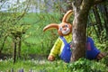 Easter bunny on a spring meadow -
