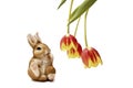 Easter bunny and spring tulips on a light background Royalty Free Stock Photo