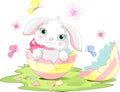 Easter bunny surprise Royalty Free Stock Photo