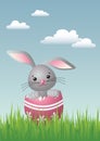 Easter Bunny Surprise Egg Royalty Free Stock Photo