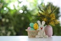 Easter bunny toy, dyed eggs and flowers on wooden table against blurred green background. Space for text Royalty Free Stock Photo