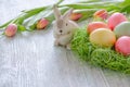 Easter bunny with tulips, nest and eggs on the vntage wooden