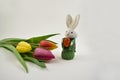 Easter Bunny with tulips stock images