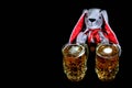 Easter bunny with two mugs of beer against black background