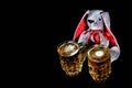 Easter bunny with two mugs of beer against black background