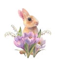 Easter bunny watercolor baby rabbit with spring flowers in pastel colors. Hand painted illustration for happy holidays Royalty Free Stock Photo