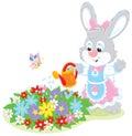 Easter Bunny watering flowers