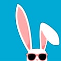 Easter Bunny White Rabbit With Big Ears And Sunglasses On Blue Background Royalty Free Stock Photo