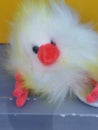 Easter bunny yellow white polka dot Easter chick