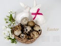 Easter bunnys and easter eggs on white background