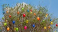 Easter bush with colorful plastic eggs Royalty Free Stock Photo