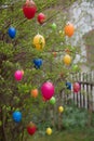 Easter bush in the garden with hanging easter eggs Royalty Free Stock Photo