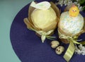 Easter cake background. Chicken, spring flowers and eggs