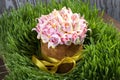 Easter cake and colorful eggs in green grass Royalty Free Stock Photo