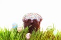 Easter cake and easter egg hiding in the grass Royalty Free Stock Photo