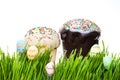 Easter cake and easter egg hiding in the grass Royalty Free Stock Photo