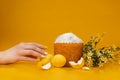 Easter cake, eggs and willow on a yellow background Royalty Free Stock Photo