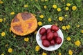 Easter cake and red eggs on a plate between dandelions and green grass