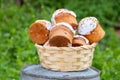 Easter cake in a straw basket on a table outdoors close up, Easter holiday Royalty Free Stock Photo