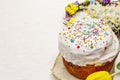 Easter cake on white putty background. Traditional Orthodox festive bread Royalty Free Stock Photo