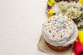 Easter cake on white putty background. Traditional Orthodox festive bread Royalty Free Stock Photo