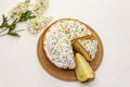 Easter cake on white putty background. Traditional Orthodox festive bread Royalty Free Stock Photo