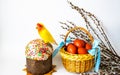 Easter cake, a wicker basket with brown Easter eggs, willow twigs and a lovebird parrot of bright festive yellow and red colors on