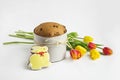 Easter cake, yellow and red tylips, bunny-gingerbread on white, background for greeting card, design, calendar. Easter holiday