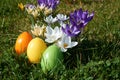 Easter candle in egg form between spring flowers Royalty Free Stock Photo