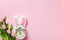 Easter card. Alarm clock with rabbit ears flowers tulips on a pink background. Flat lay copy space top view Royalty Free Stock Photo