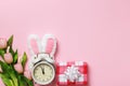 Easter card. Alarm clock with rabbit ears gift flowers tulips on a pink background. Top view flat lay copy space Royalty Free Stock Photo