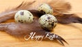 Easter card. Brown feathers and quail eggs isolated on a wooden background. Text \'Happy Easter\'.