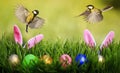 Easter card with two chickadee birds flying in spring sunrise Sunny day over Royalty Free Stock Photo