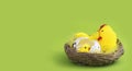 Easter card. Chicken with a hatched chicken in a nest. Easter concept, banner, harvesting. Copy space Royalty Free Stock Photo