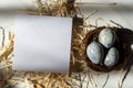 Easter card with copy space for text with three small Easter blue eggs in the nest Royalty Free Stock Photo