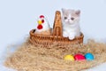 Easter card with cute kitten, chicken, basket and colorful eggs