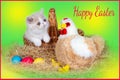 Easter card with cute kitten, chicken, basket and colorful eggs