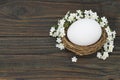 Easter card with Easter egg in nest and spring flowers on wooden background Royalty Free Stock Photo