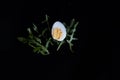 Easter card with egg on a black background and green leaves