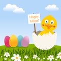 Easter Card with Eggs and a Cute Chick Royalty Free Stock Photo