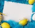 Easter Card . Eggs Feathers Background. Stock Photo