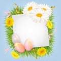 Easter card with eggs and flowers. Postcard template with Easter eggs, daisies and dandelions Royalty Free Stock Photo